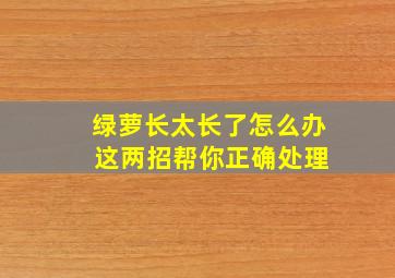 绿萝长太长了怎么办 这两招帮你正确处理